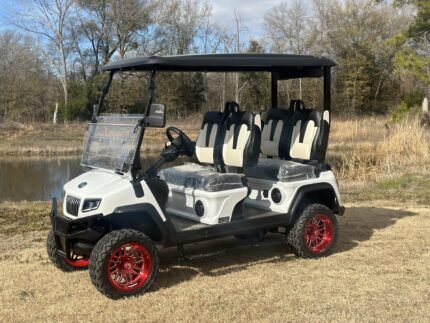 2025 Evolution D5 For Sale