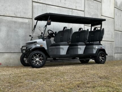 2025 Denago EV Rover XL For Sale