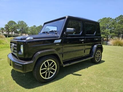 2025 E-Wagon G600 For Sale