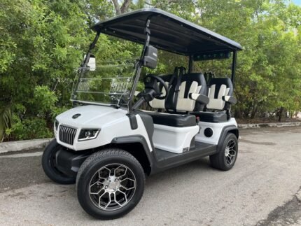 2025 Evolution D5 RANGER 4 For Sale