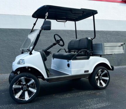 2025 Evolution Turfman 200 For Sale